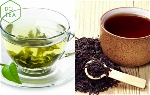 Khác nhau giữa trà xanh và trà đen ở màu sắc và hương vị